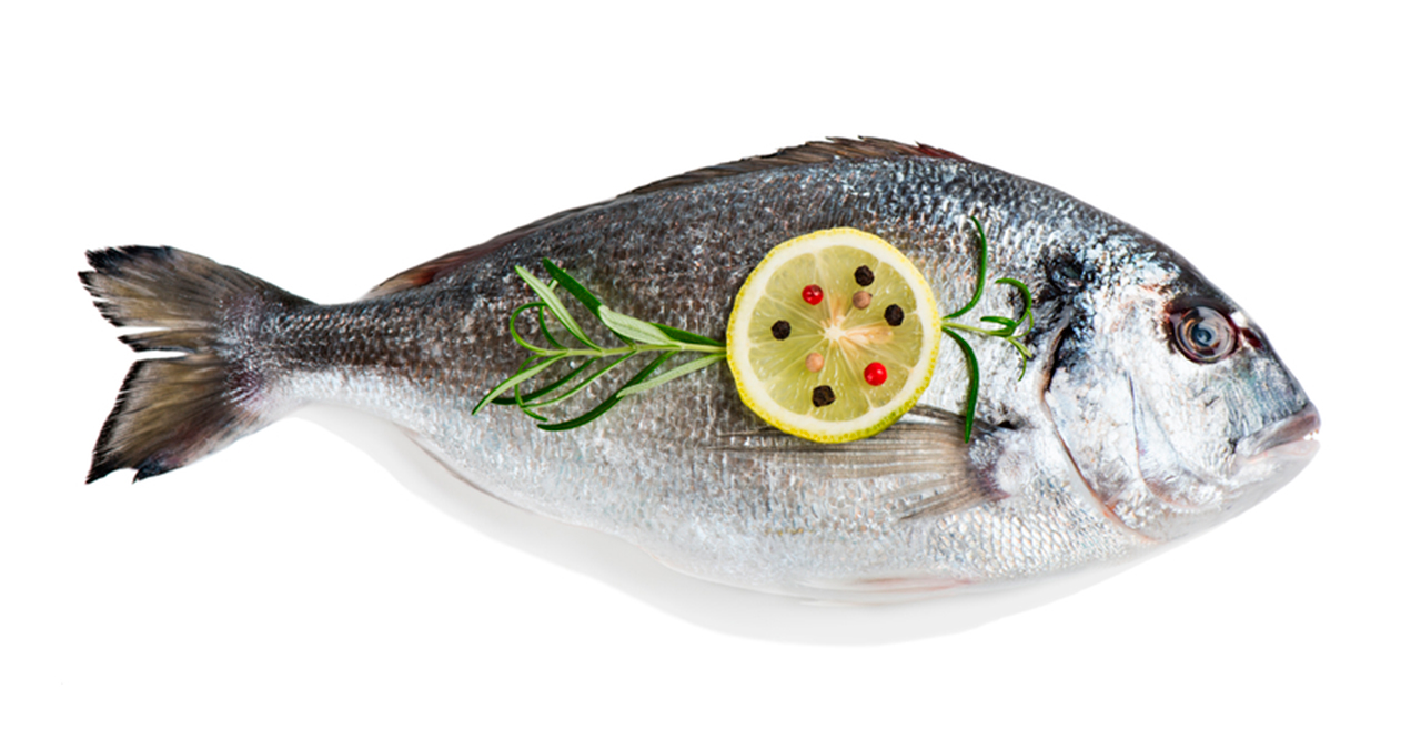 Pescado | Marisco